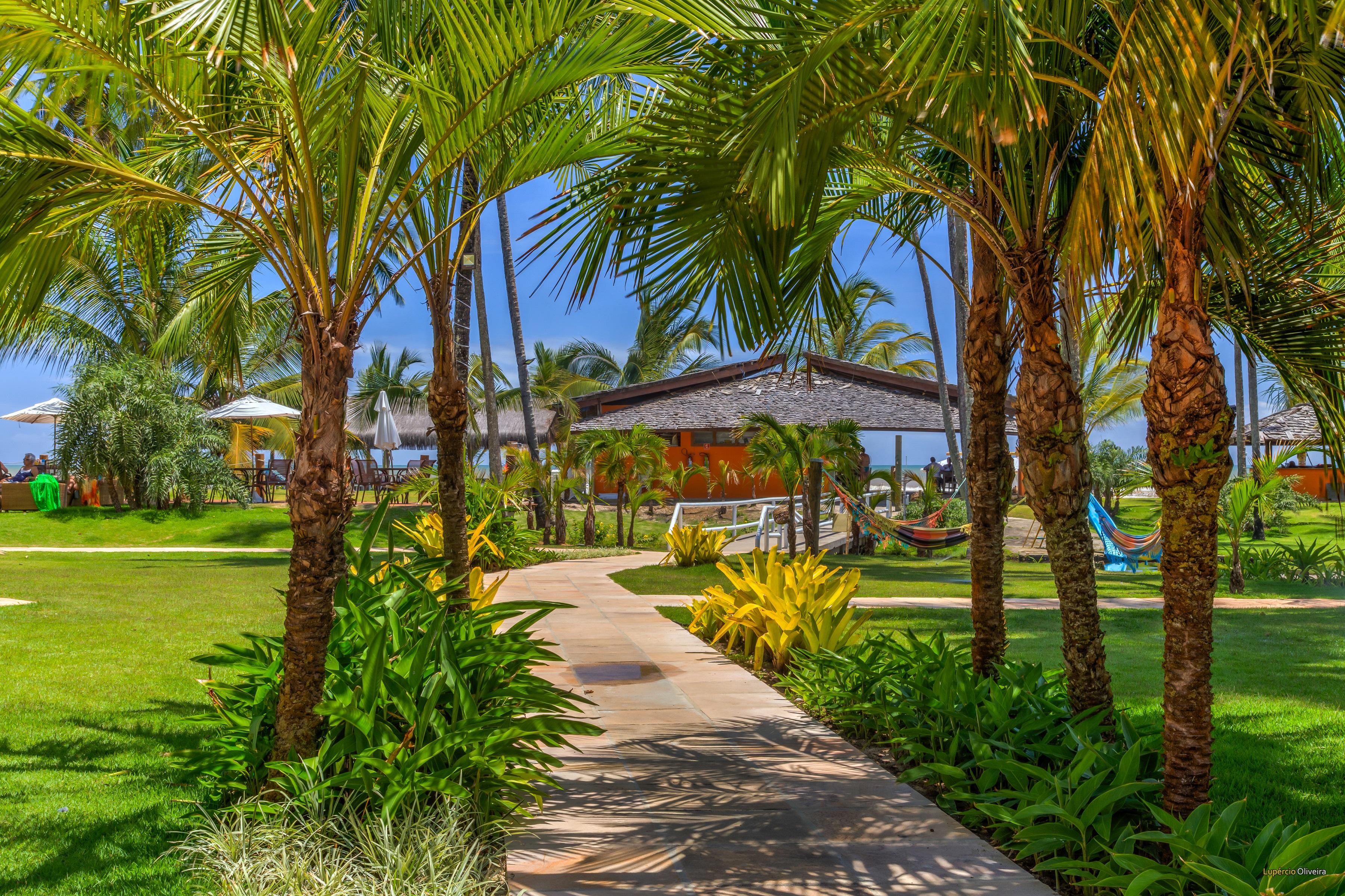 Resort Tororomba Olivença エクステリア 写真